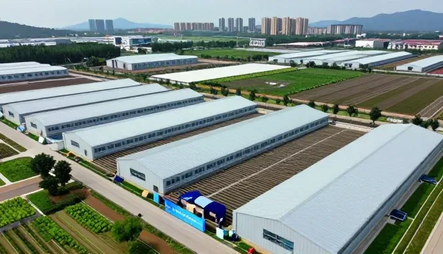 短视频拍摄在活动策划执行中的应用趋势